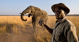 Faire un safari en Afrique : à quoi s’attendre vraiment avant de partir ?