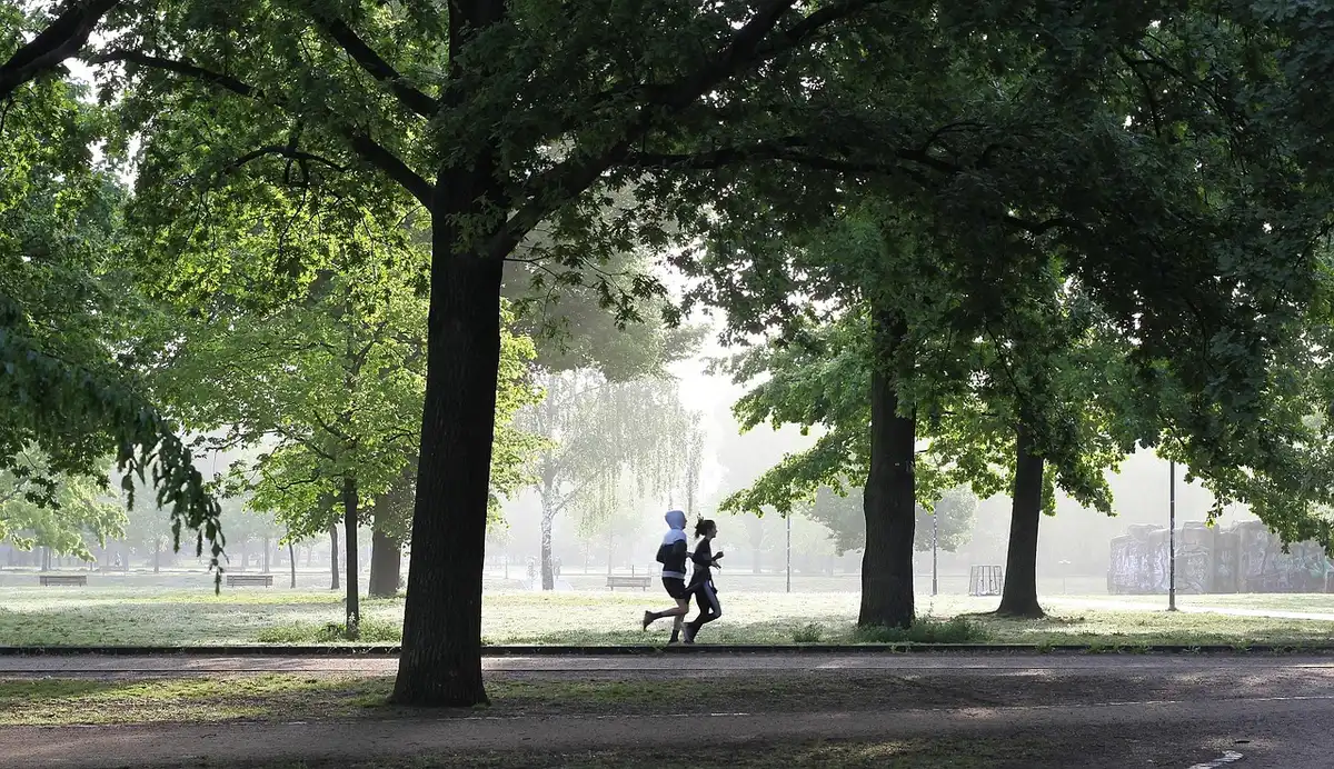 Personne marchant à l'extérieur sous la lumière du matin