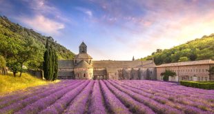 Visiter le Vaucluse, que voir que faire, les incontournables