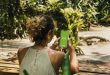 Duolingo Apprendre une langue
