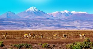 Paysages de Bolivie