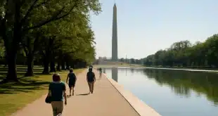 Découvrez 10 visites incontournables à Washington D.C. à ne pas manquer