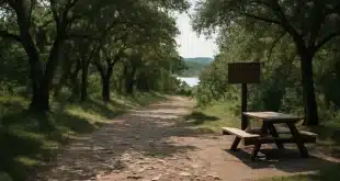 Découvrez 11 lieux incontournables à visiter autour de Mende