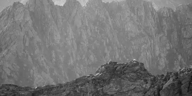 Corniche rocheuse et crique méditerranéenne avec mains tenant une carte