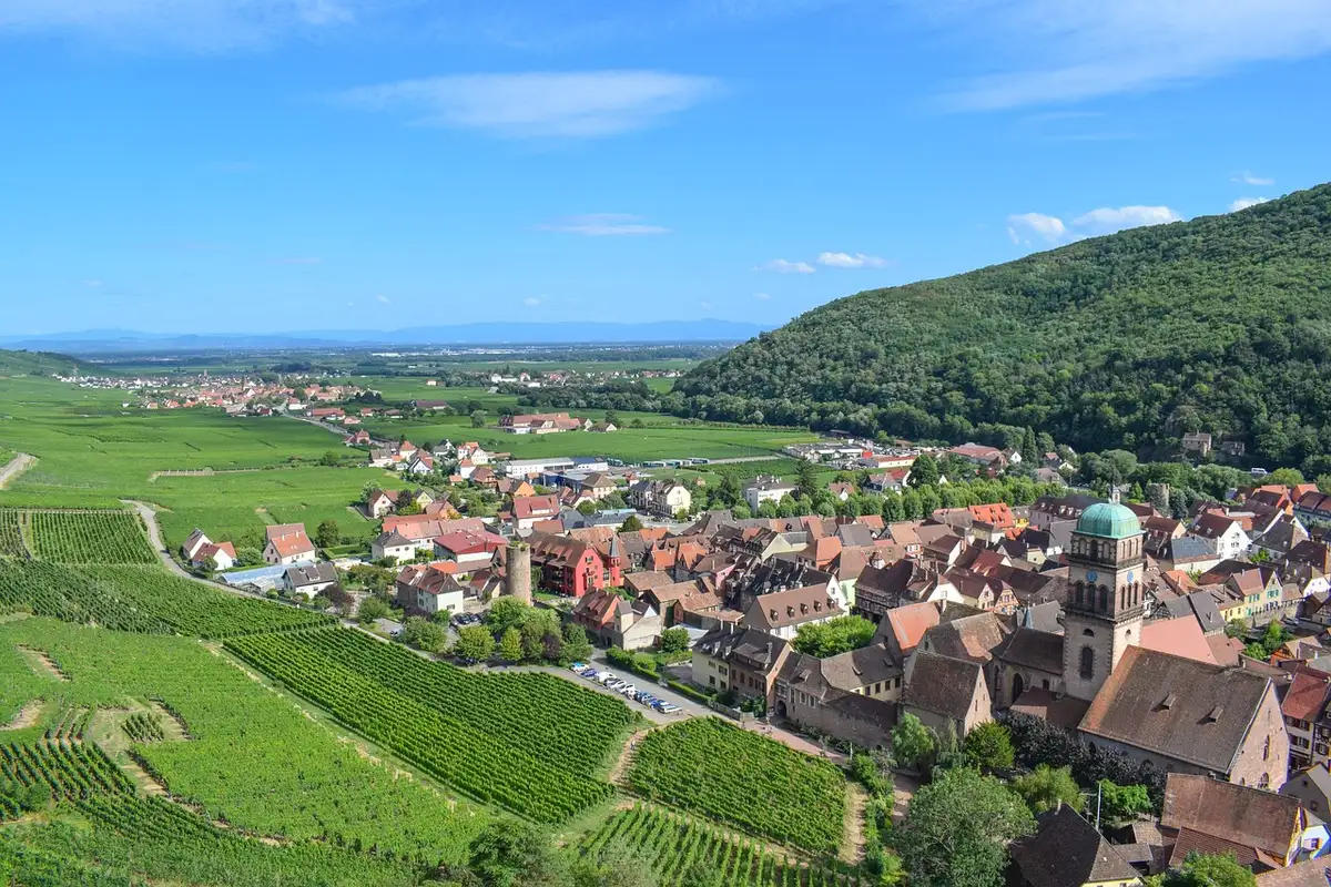 Paysage de vignobles alsaciens au soleil avec collines