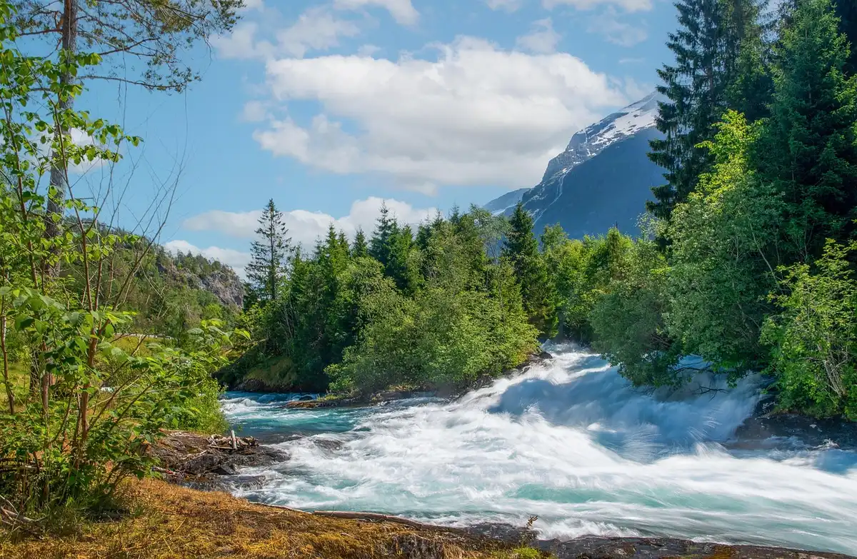 Personnes en canoë sur une rivière bordée de falaises et forêt