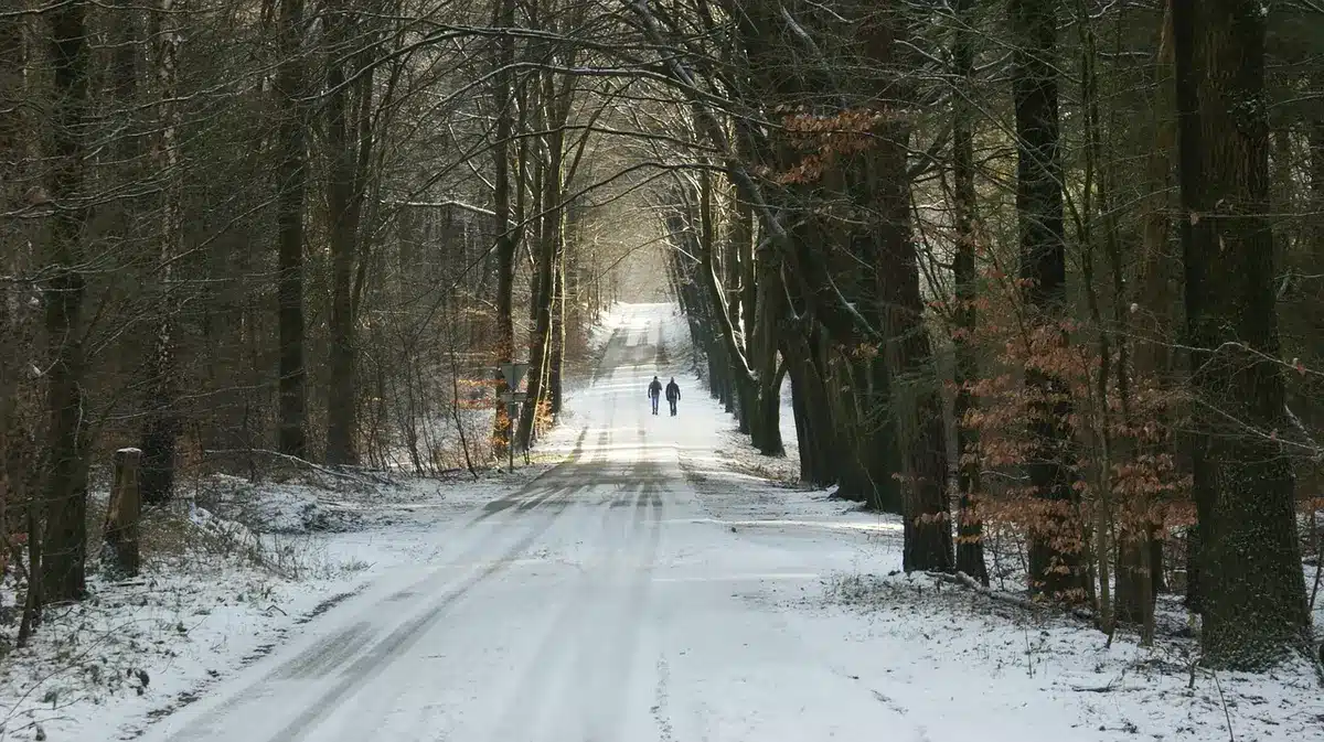 Randonneurs sur un sentier dans un parc national alpin