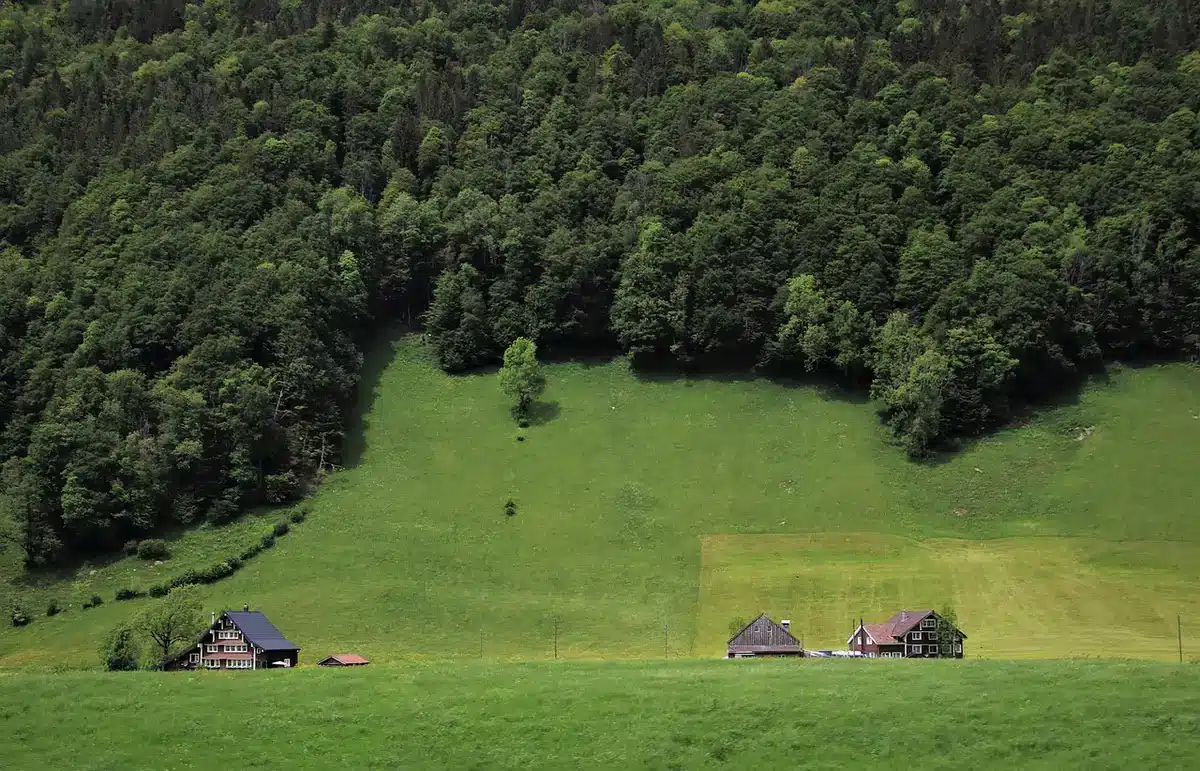 Cabane intégrée dans un paysage de garrigue et vignoble en Provence