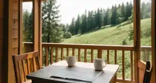Pourquoi choisir Coucoo Grands Cépages pour un séjour en cabane en Provence ?