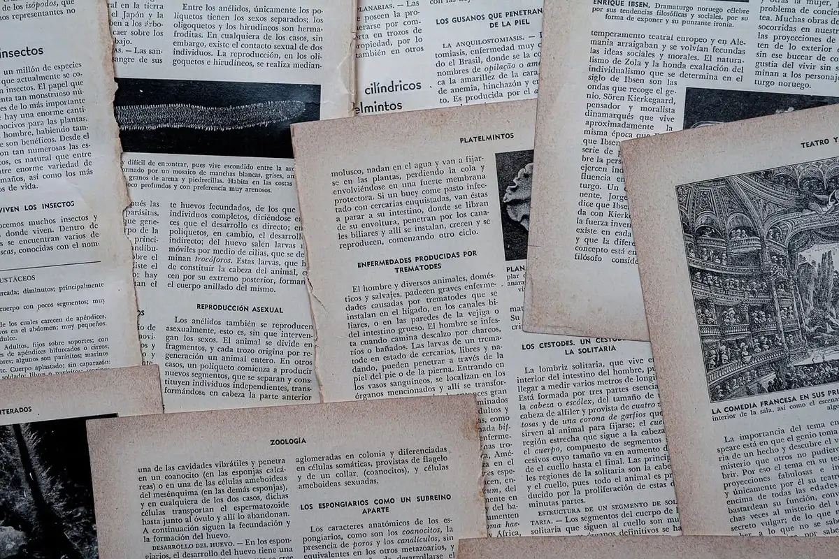 Personne lisant un contrat d'assurance sur un ordinateur portable et papier