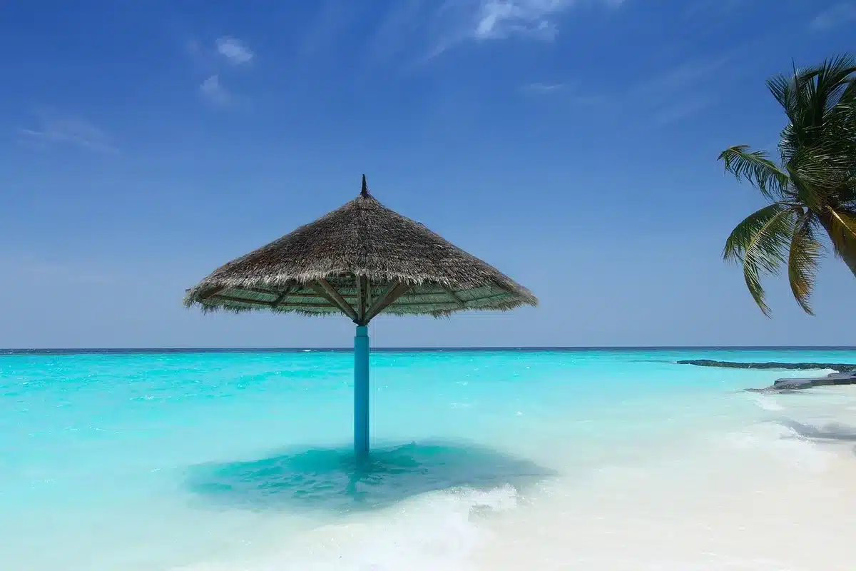 Plage des Salines avec sable très clair et cocotiers