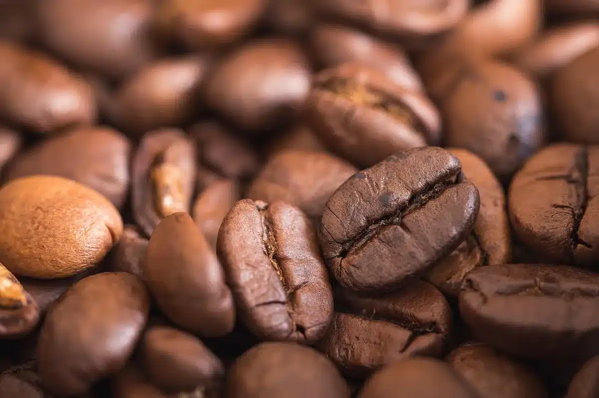 Dosettes de café, sel et poivre disposés dans une corbeille d'accueil