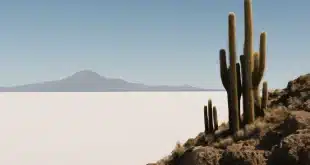 Quels sont les 20 paysages de Bolivie à voir absolument ?