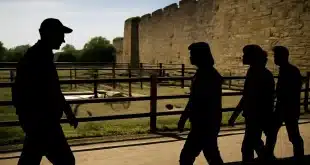 Quels sont les 5 meilleurs zoos et parcs animaliers à visiter dans les Vosges ?
