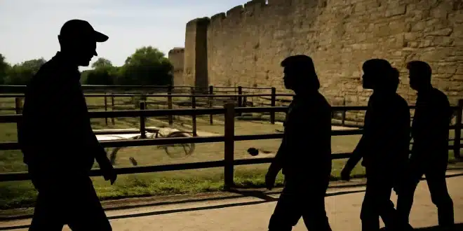 Quels sont les 5 meilleurs zoos et parcs animaliers à visiter dans les Vosges ?