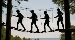 Quels sont les 7 meilleurs parcours accrobranche du Morbihan ?