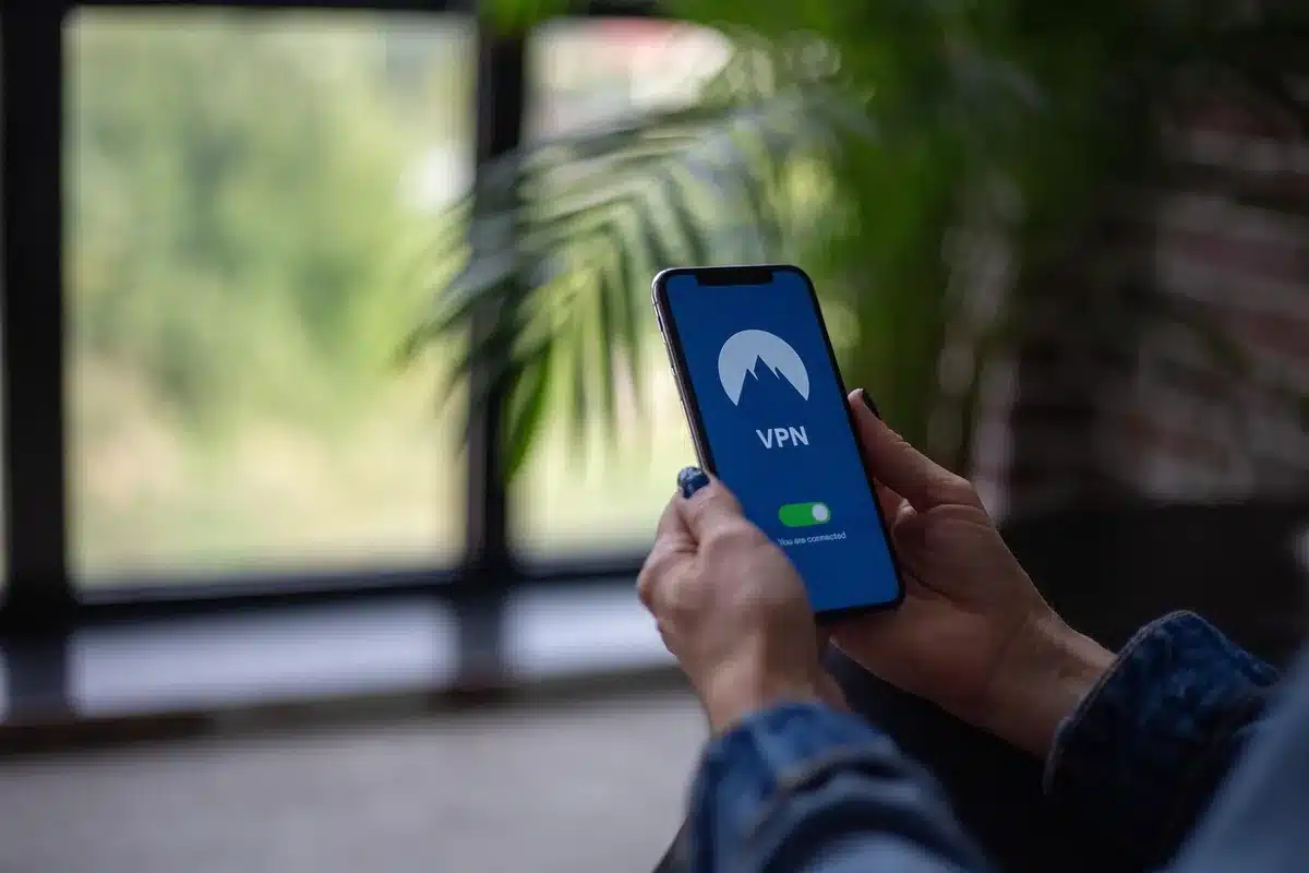 Écran d'un smartphone montrant les paramètres d'une application VPN (interface générique)