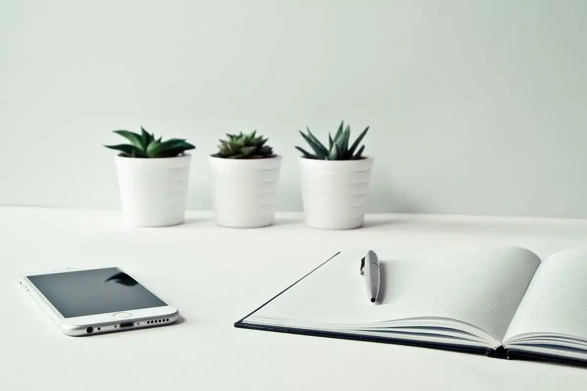 Voyageur utilisant smartphone et ordinateur portable pour le partage de connexion