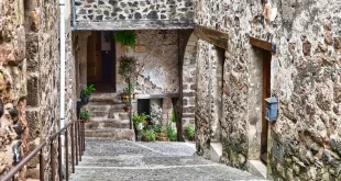 Promenade anonyme sur une rue pavée d'Avignon, façades médiévales et terrasses floues