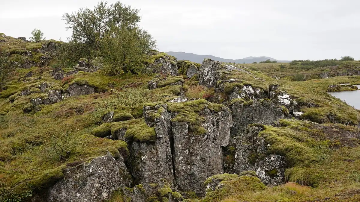 Falaises et fissures de Þingvellir sous un ciel lumineux