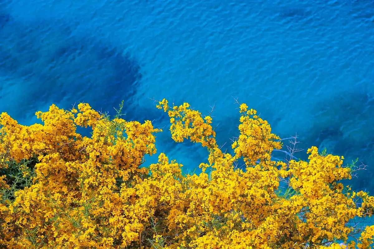 Promenade côtière au printemps avec mer turquoise et ciel clair