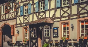 Cour ensoleillée d'un hébergement familial avec terrasse et espace de jeux près d'une lisière de forêt