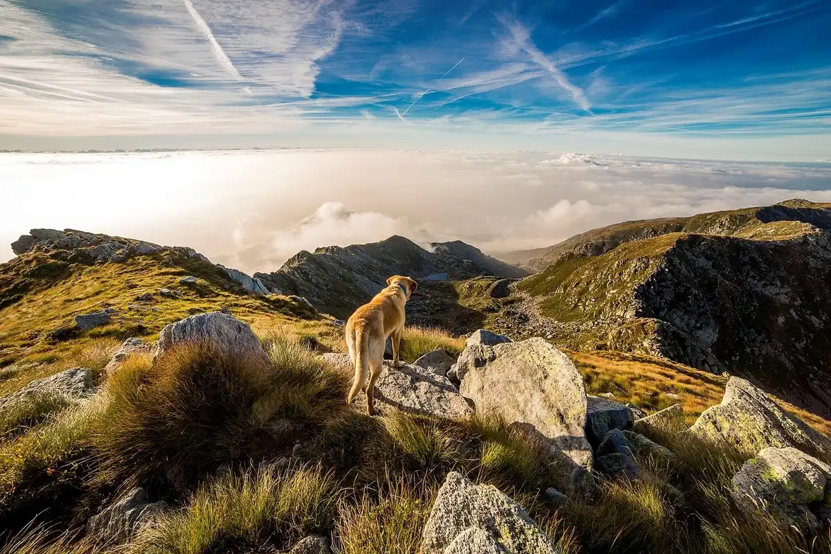 Sentier de randonnée dans le massif du Český ráj entre rochers de grès