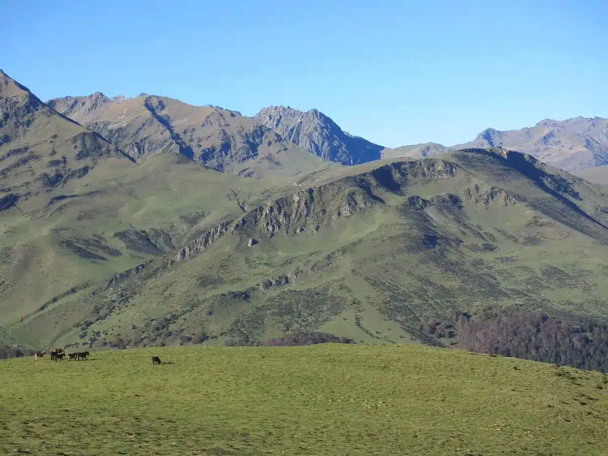 Famille au bord d'un lac pyrénéen pour une promenade et un pique-nique