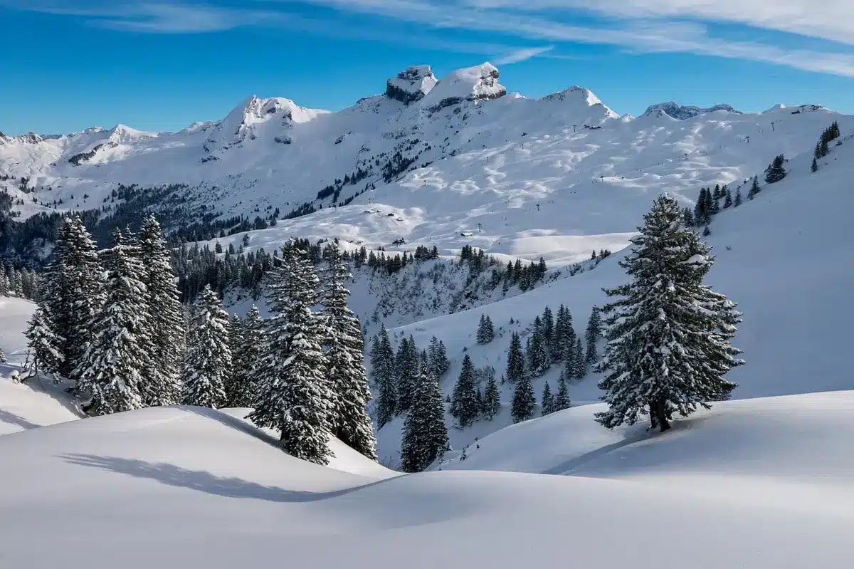 Panorama en journée d'un grand domaine de ski avec télésièges et sommet enneigé