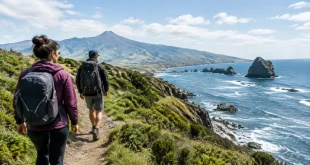Les 20 activités incontournables à faire en Nouvelle-Zélande