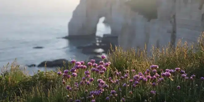 Plage normande en journée avec serviettes sur le sable et dunes en arrière‑plan