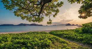Plateforme d'observation en journée face aux chutes et forêt subtropicale