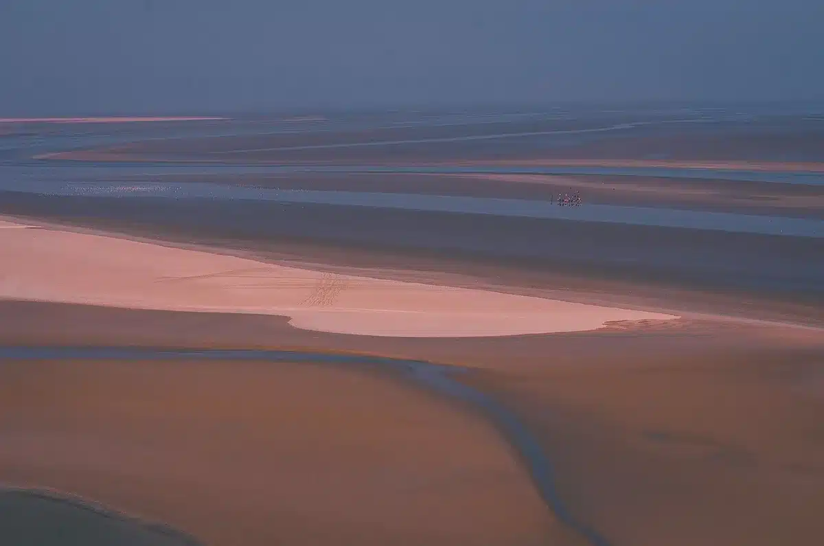 Baie du Mont‑Saint‑Michel vue de loin à marée basse avec marcheurs en arrière-plan
