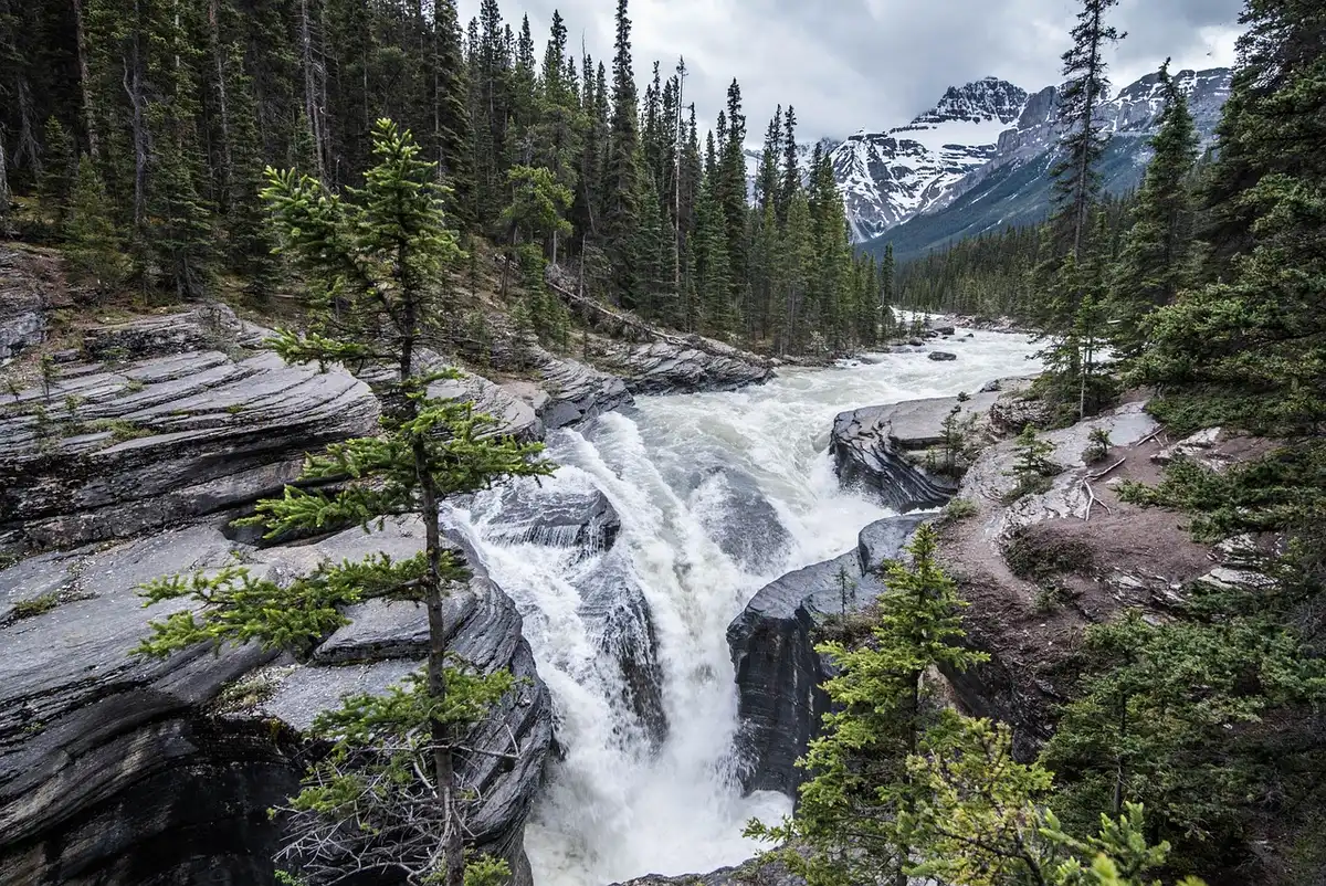 Sentier de randonnée près d'une cascade dans un parc naturel.