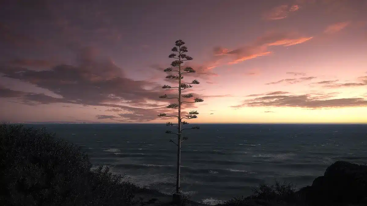 Randonnée sur le sentier des Seven Sisters avec falaises crayeuses et vue sur la Manche