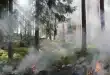 Visiteurs marchant sur un sentier ensoleillé dans une réserve naturelle avec panneaux d'information