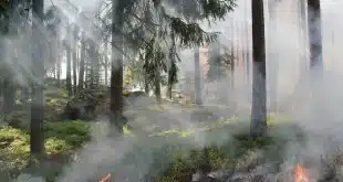 Visiteurs marchant sur un sentier ensoleillé dans une réserve naturelle avec panneaux d'information