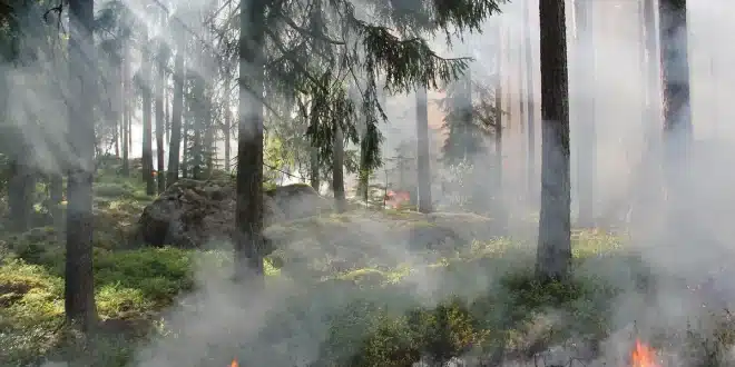 Visiteurs marchant sur un sentier ensoleillé dans une réserve naturelle avec panneaux d'information