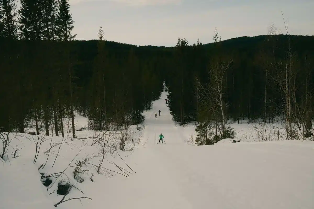 Skieurs de fond sur une piste en forêt des Pyrénées
