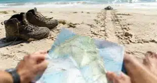 Vingt ans de voyages : récits, erreurs et conseils pratiques